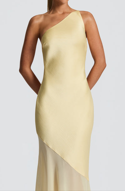 Serelisse One Shoulder Maxi Dress